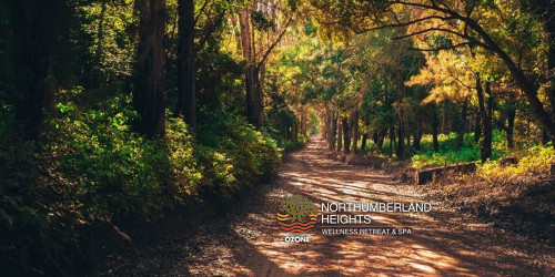 Weeknight or Weekend Night Wellness Retreat Stay Weeknight or Weekend Night Wellness Retreat Stay