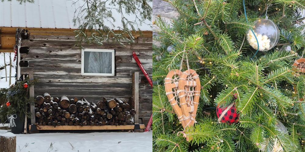 Century-Old Cabin: 2-Night Stay with Sparkling Wine & Lavender Treats