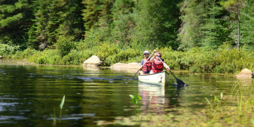 Lake Fever Wilderness: 8-Day Bucket Lister Guided Tour Departing from Toronto