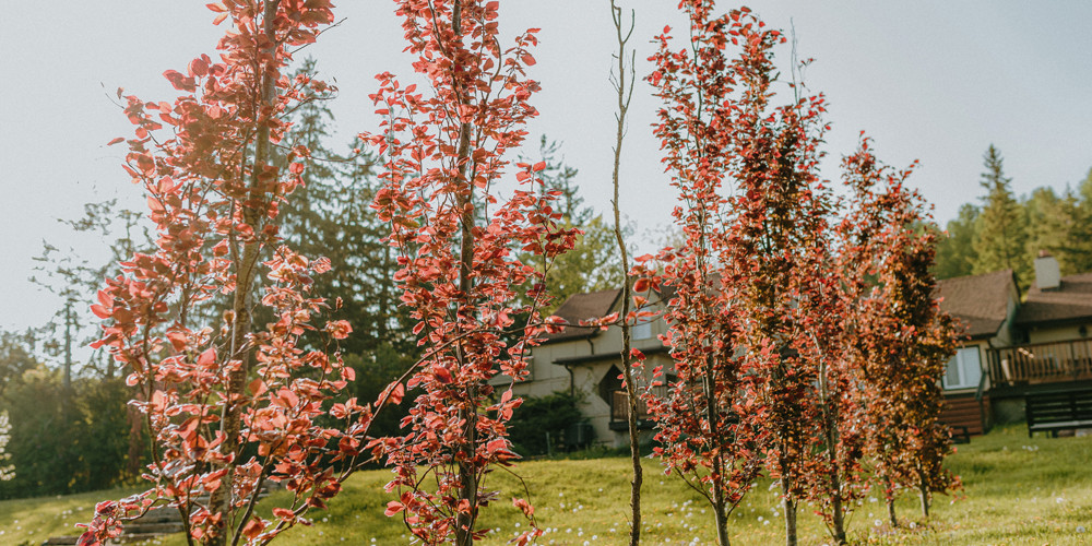 Northumberland Heights: Luxury Spa Packages & Overnight Retreat