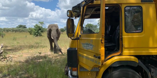 Nairobi to Cape Town: 76 Days Grand Adventurer